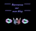 soyez ls bienvenues dans mon blog